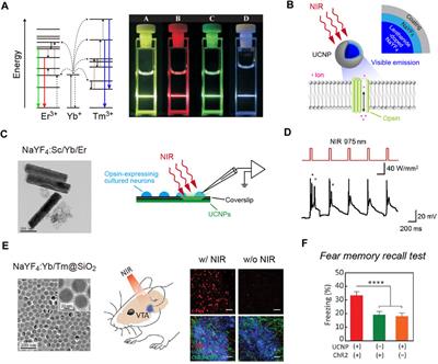 Remote Optogenetics Using Up/Down-Conversion Phosphors